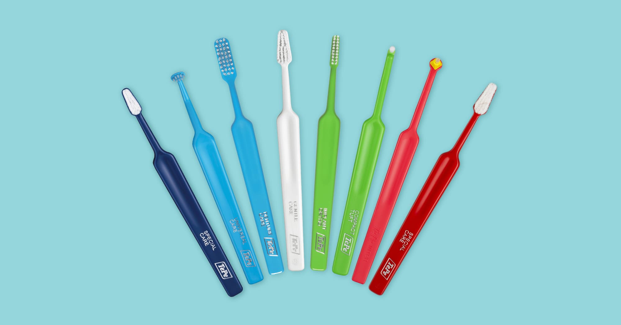 WD3441INT Special brushes 2000x1047