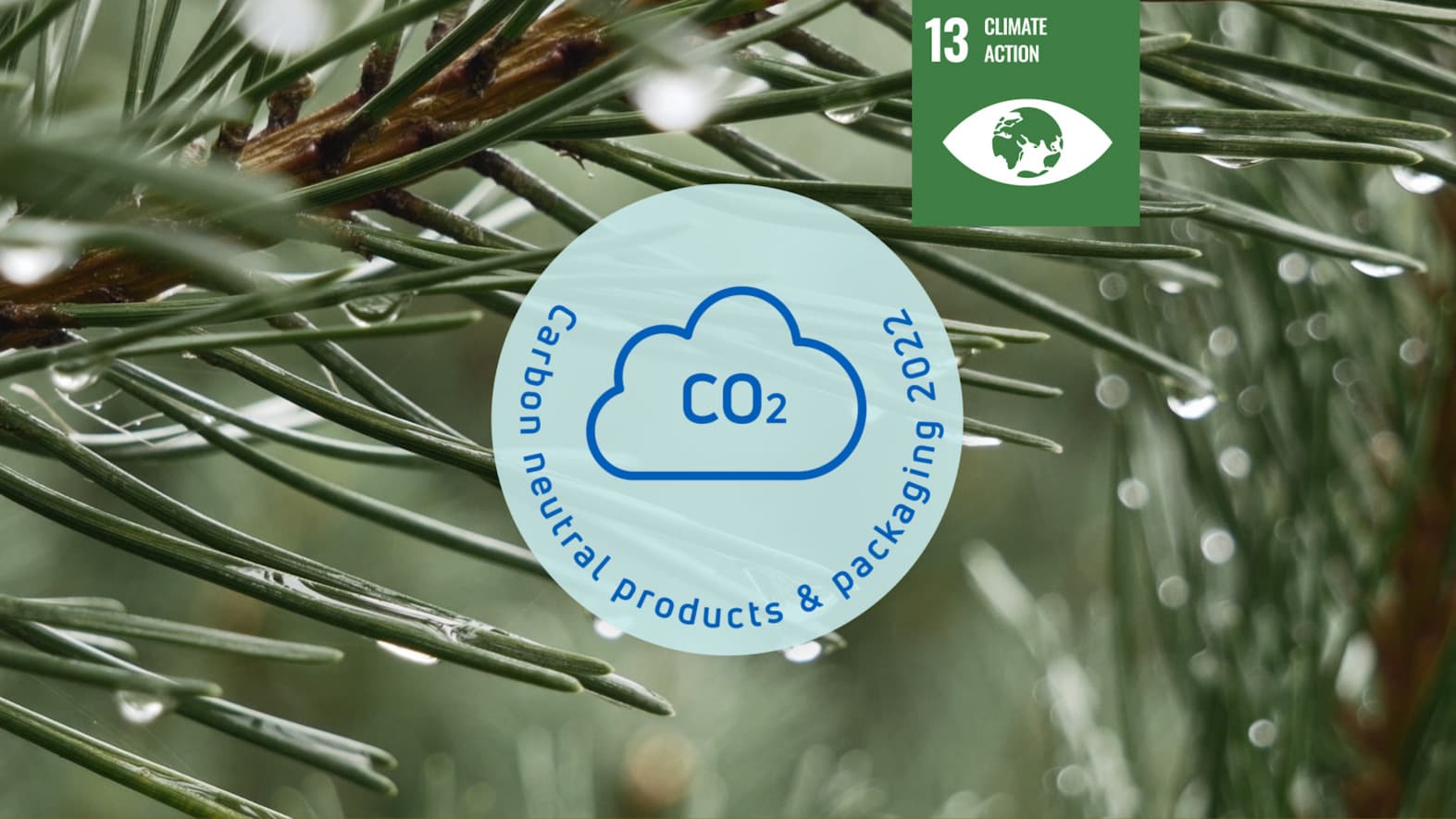 CO2 neutral products 2022